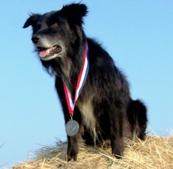 Photo of Certik with his medal