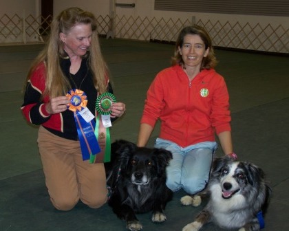 Photo of Certik in Rally