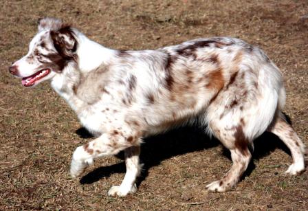Photo of Flair