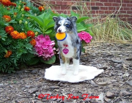 Photo of K9 Athlete in Fiber Art: Gracie