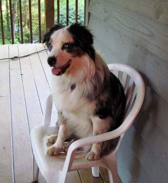 Photo of Samwise