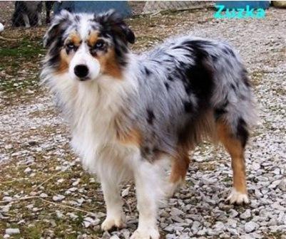 Photo of Zuzka