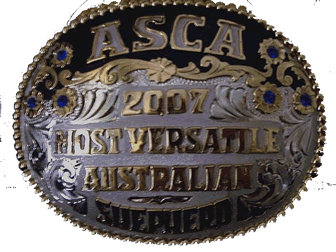 MVA belt buckle