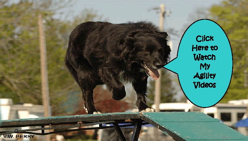 Click here to look at Agility Videos