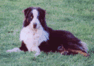 Photo of King