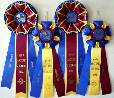 Photo Certik's of ribbons