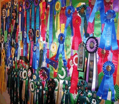 Certik's ribbons